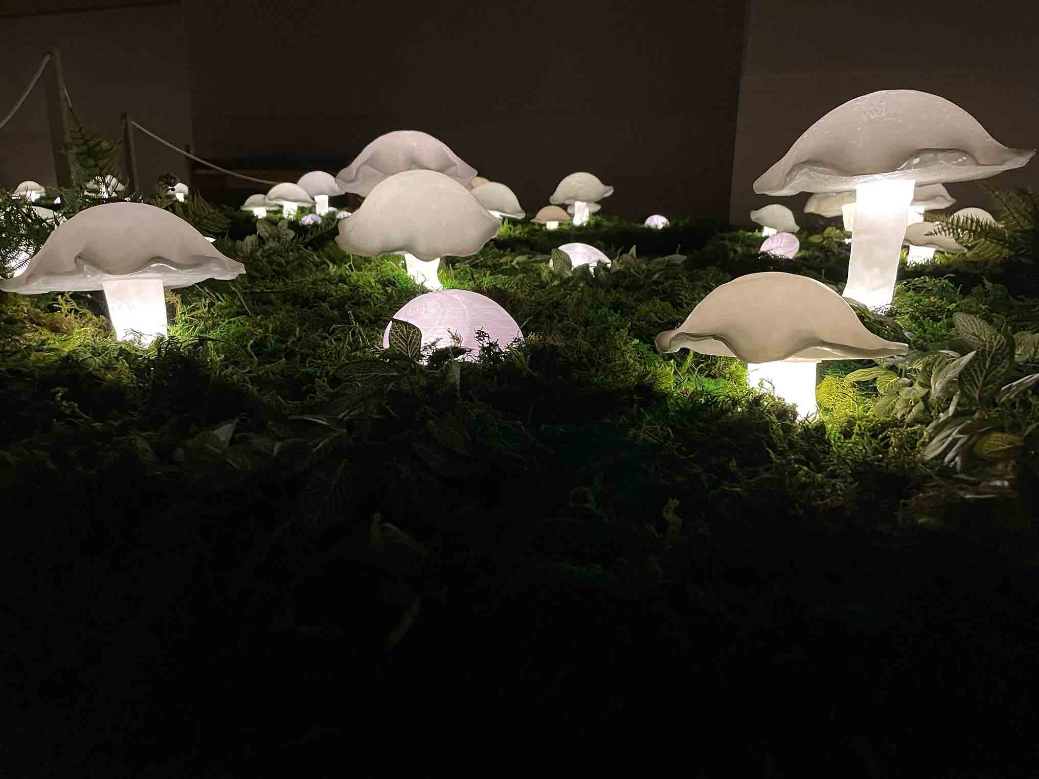 glowing mushrooms in foliage from a temporary exhibit at Museum of York County