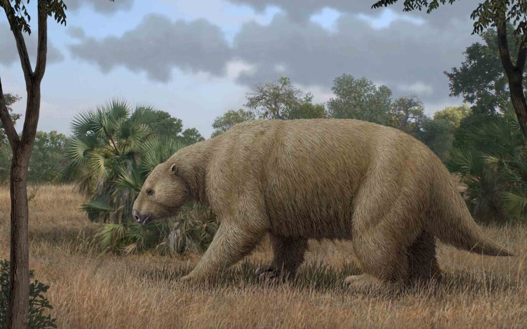 Before the Ice Ages: Miocene and Pliocene Beasts of the Southeast