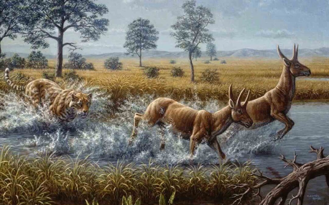 New Exhibit Brings Bizarre Beasts To Life
