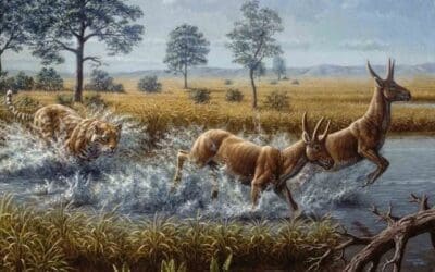 New Exhibit Brings Bizarre Beasts To Life