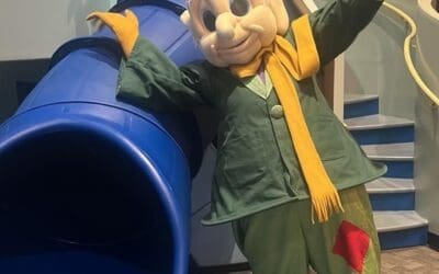 Whimsical World of Gnomes