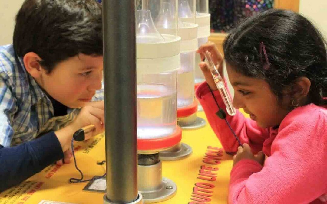 children looking at mosquitos